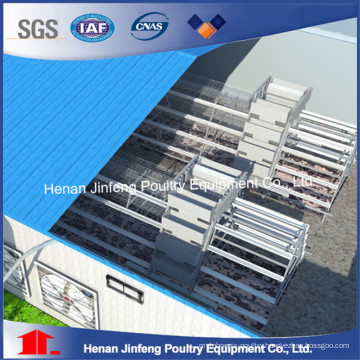 Automatic/Semi-Automatic Poultry Equipment for Chicken Farm
